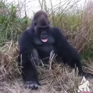 😨