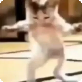 🌟