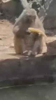 ☹️