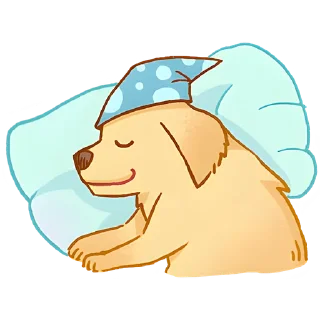 😴