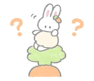 🐰