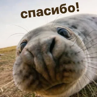 🙏
