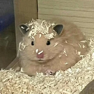 🫠
