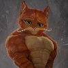 ♂️Gachi Puss in Bods♂️