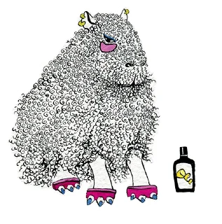 🐑