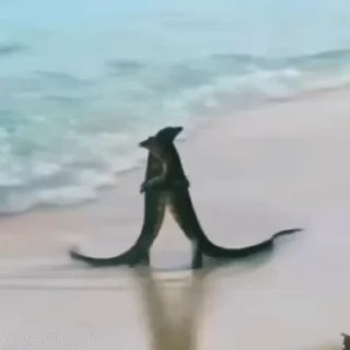 🫂