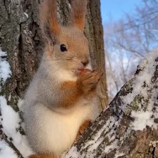 🤩