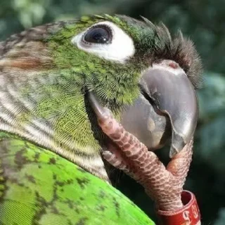 🤔