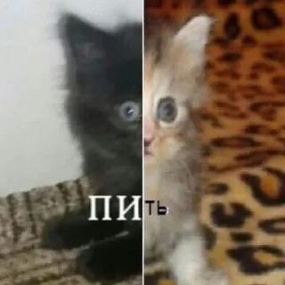 😳