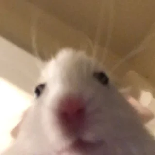 🙂