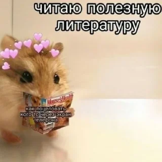 ❤️