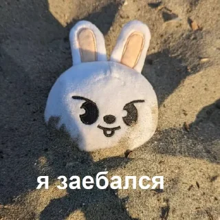 🤩