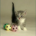 😺