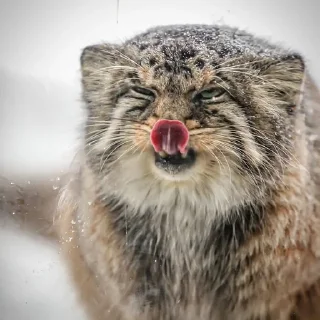 😛