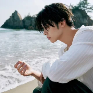 🐚