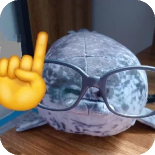 👓