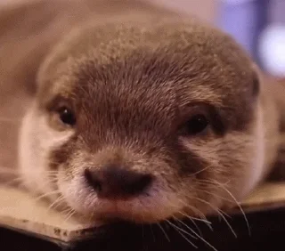 😌