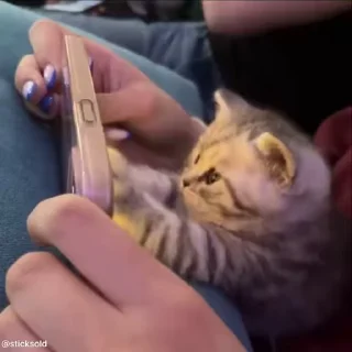 🎮