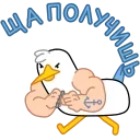 💪