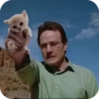 ✋
