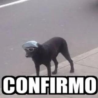 👍