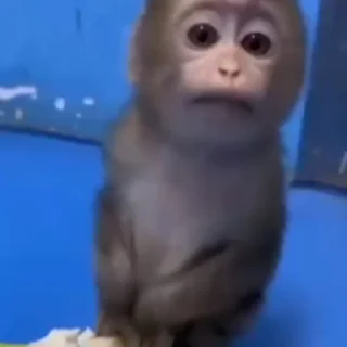 ❓