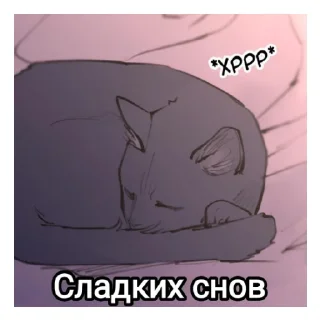 🛌