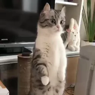 😳