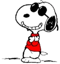 😎