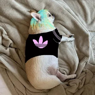 🖤