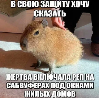 🌟