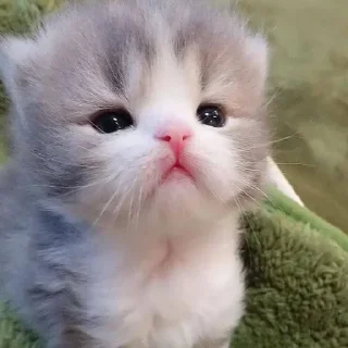 🍼