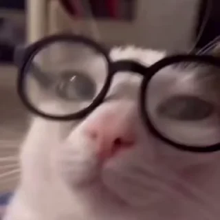 🤓