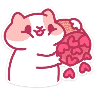 🐱