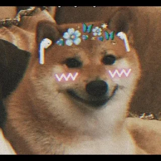 ⚡