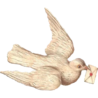 🕊️