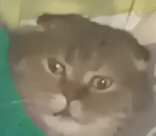 🤨