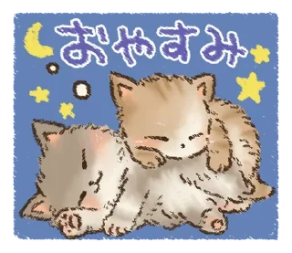 🐱