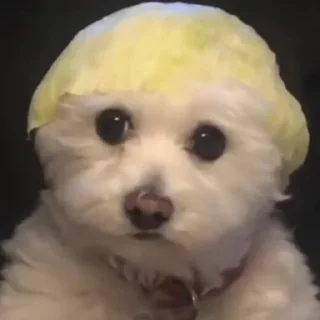 😭