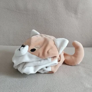 🐱
