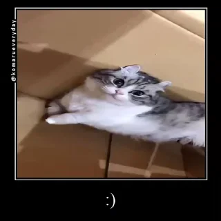 🙂