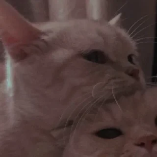 💗