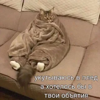 😭