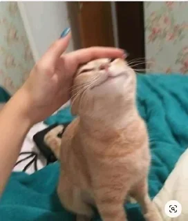 😊