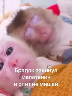 😜