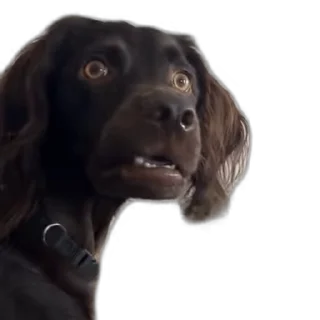 😦