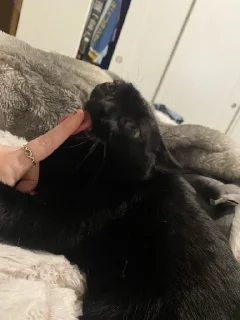 😋