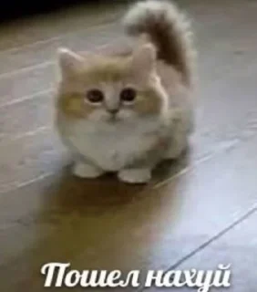 😊
