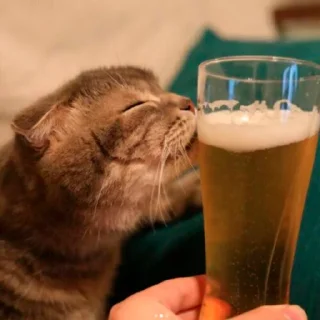 🍺