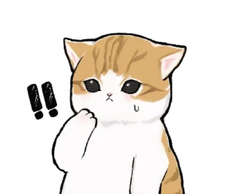 🐱